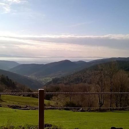 Un Coin De Montagne Διαμέρισμα Linthal Εξωτερικό φωτογραφία