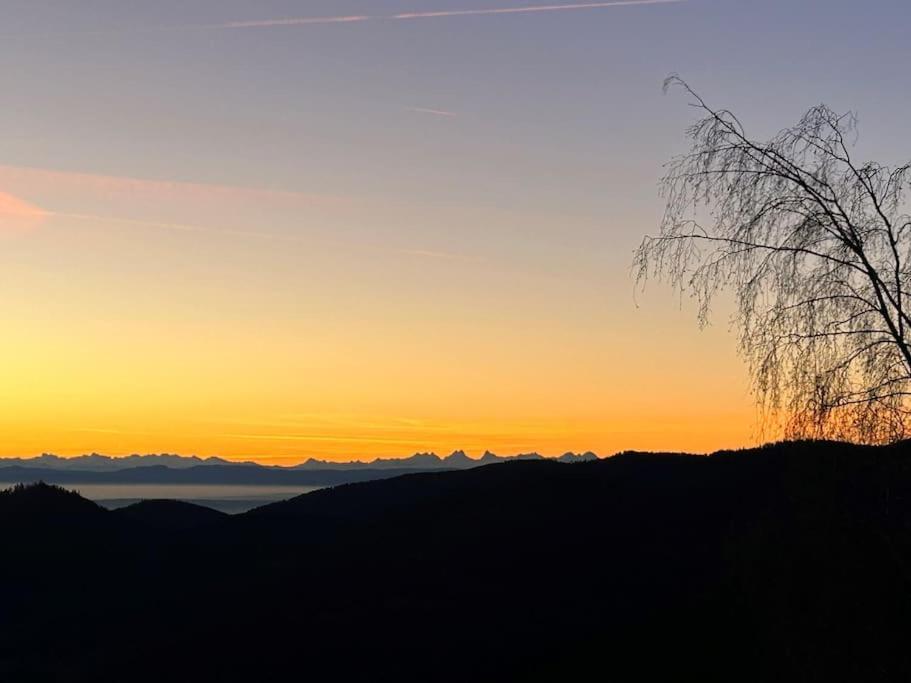 Un Coin De Montagne Διαμέρισμα Linthal Εξωτερικό φωτογραφία