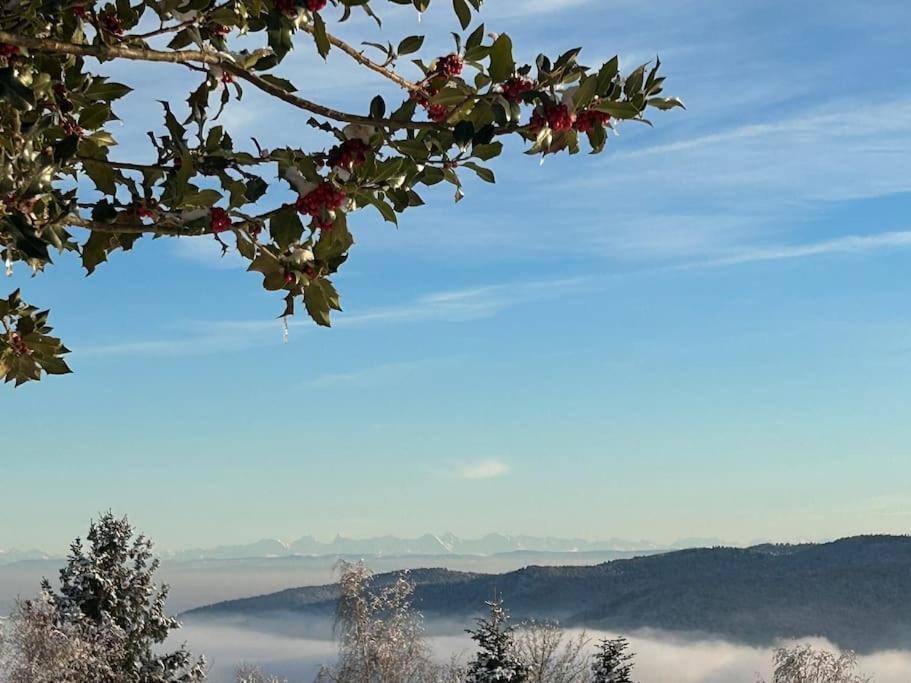 Un Coin De Montagne Διαμέρισμα Linthal Εξωτερικό φωτογραφία