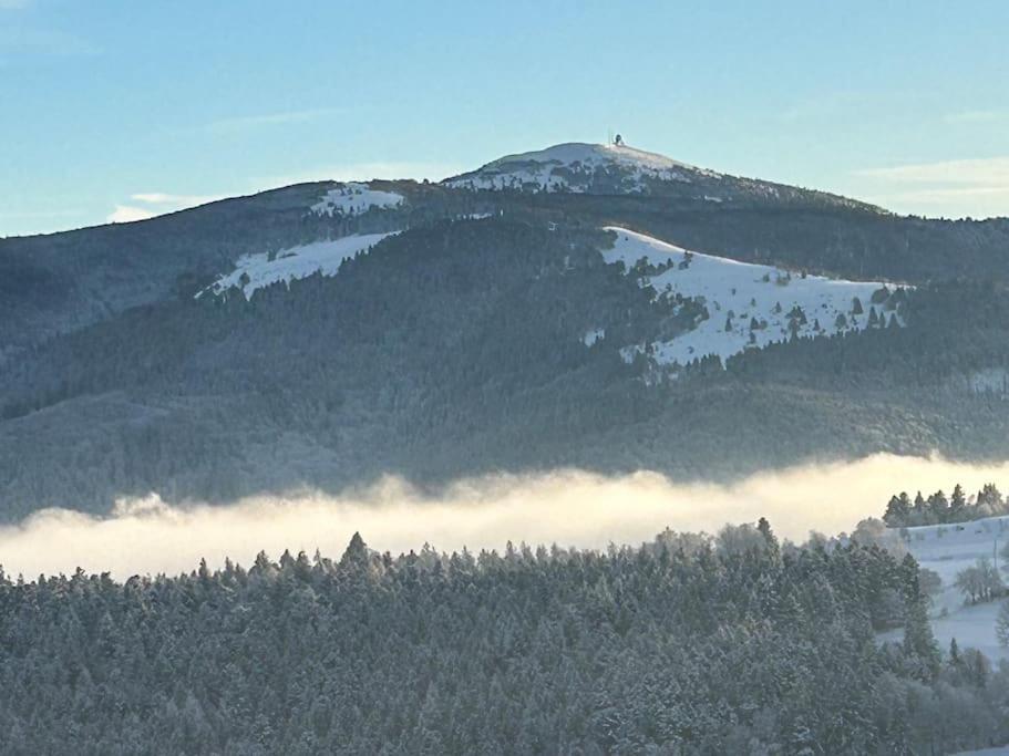 Un Coin De Montagne Διαμέρισμα Linthal Εξωτερικό φωτογραφία