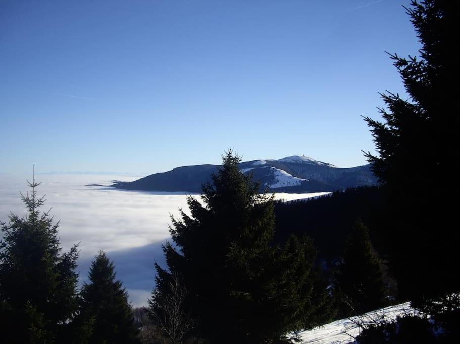 Un Coin De Montagne Διαμέρισμα Linthal Εξωτερικό φωτογραφία