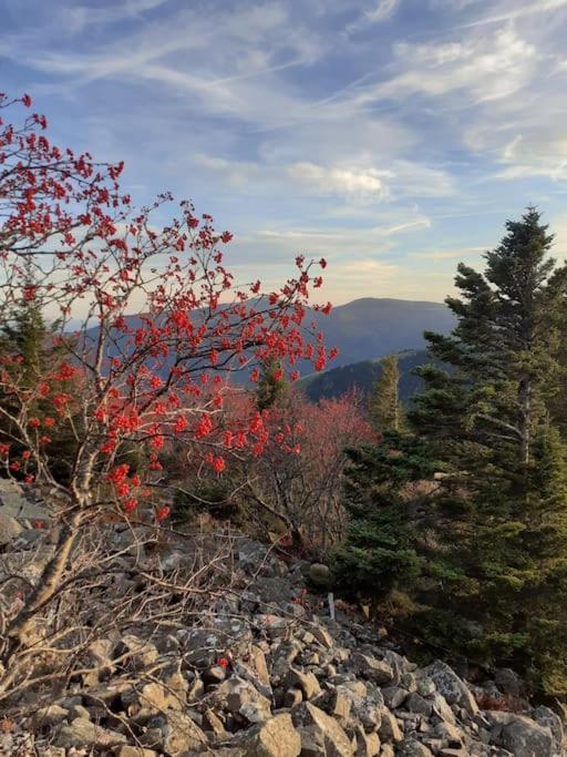 Un Coin De Montagne Διαμέρισμα Linthal Εξωτερικό φωτογραφία