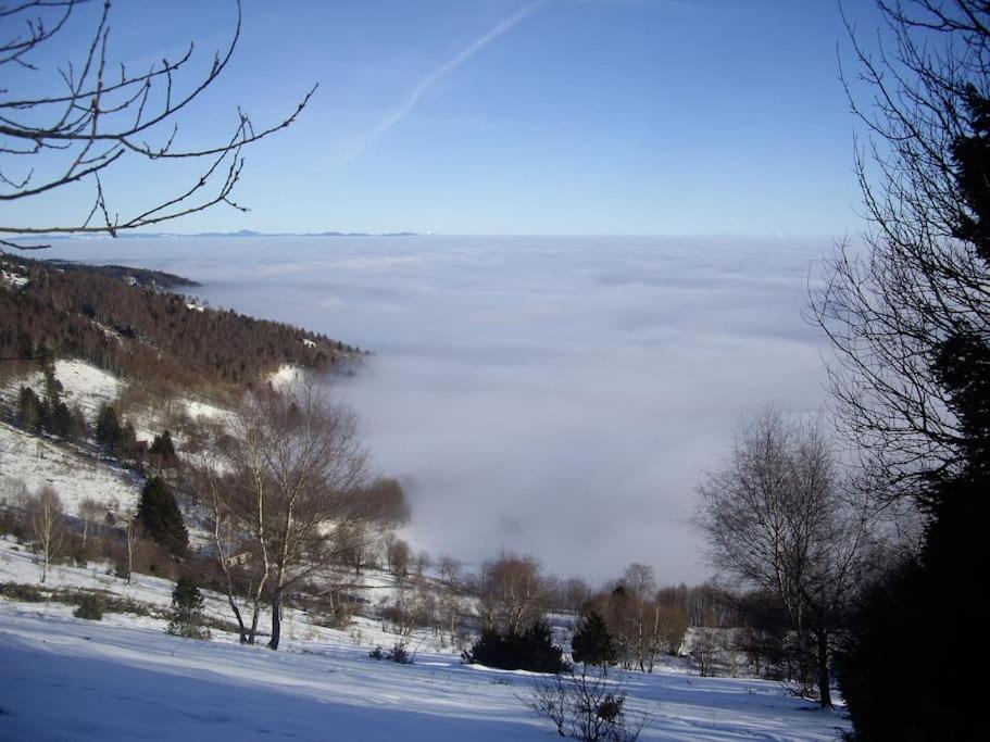 Un Coin De Montagne Διαμέρισμα Linthal Εξωτερικό φωτογραφία