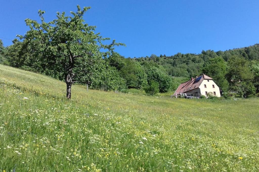 Un Coin De Montagne Διαμέρισμα Linthal Εξωτερικό φωτογραφία